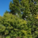 우두강둑길 이미지