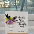 엘림캘리&플라워 이미지