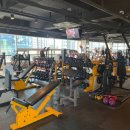 HMS FITNESS 이미지