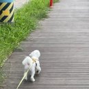 미리내 하우스 펜션 이미지