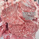 (주)원스탑시스템 | [한우도매] 투뿔한우납품, 채끝등심 하나로 매출이 달라집니다