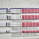 나의 임신 일기(임신테스트기, 입덧, 태동)