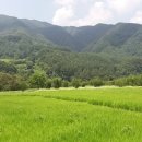 수일농장 이미지