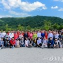 그린평화 머니투데이