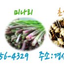 용성농장 이미지