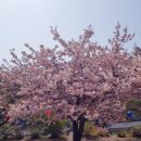 수양천안·아산