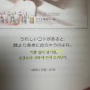 지혜광고