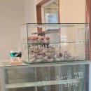 화곡로41길 이미지