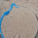 대양목장 이미지