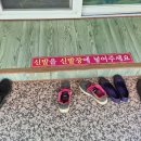 아리울파크 네이버블로그