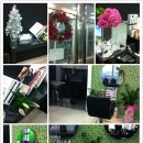 하나은행현금입출금기 앞 이미지