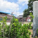 배다리공원 이미지