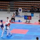 나라태권도체육관 이미지