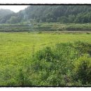 옥이농장 이미지