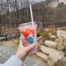 승준목장 | 2024년 4월 (1): 왜요? 제가 더쇼 1위 가수 온앤오프의 팬 퓨즈처럼 보이시나요? (데이터 주의)