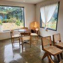 옐로우송버드 이미지