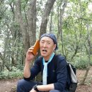 참배농장 이미지