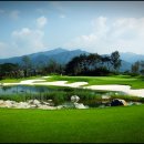 청우그린 이미지