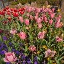 해운대종합사회복지관 | 해운대종합사회복지관 2026 평생학습센터 운영 지원사업 타로이야기 이은영타로강사