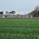 고향 의성에 다녀와서 이미지