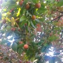 말구리농장 이미지