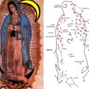 과달루페 성모님의 발현 이미지