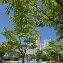 별내체육공원 | 2025 남양주 별내 체육공원 물놀이터 물놀이장 개장 운영시간