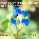 샘이나네일