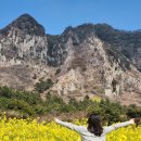 제주안덕농협주유소 이미지