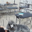 학원1번가학원
