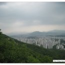 청수양어장 네이버블로그