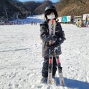 용인대명인태권도 이미지