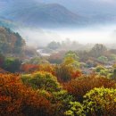 비밀의정원 이미지