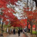 찾아가는 아라가야 문해교실 이미지