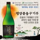 후기(우렁이쌀 손막걸리DRY, 술공방9.0, 청양둔송 구기주, 컨츄리 캠벨 스위트, 추사백25) @전통주 갤러리