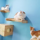 꿀밤스테이 이미지