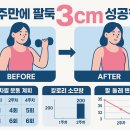 (주)뉴로서킷 | 무게조절 덤벨로 팔뚝살 빼기: 2주만에 -3cm 성공한 혁신적 운동법 💪