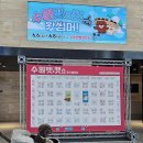 2025 수원펫쇼 &amp; 캣쇼 펫박람회 후기 주차