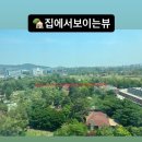 송도힐스부동산공인중개사사무소 이미지