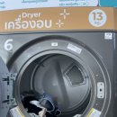 베어 워시(Bear Wash) 이미지