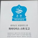 하니파크 | 아산 파라다이스 도고 스파 워터파크 가격할인 및 후기