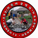 10.7.아삭이상추 심었어요/10.7.배추.무.콜라비(진딧물.무름병.벼룩잎벌래)방제/끼륵이의전원일기 이미지