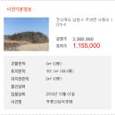 송동면 내사촌마을 네이버블로그
