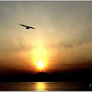 [영화음악] Neil Diamond - Be ("Jonathan Livingston Seagull,갈매기의 꿈)", OST 이미지
