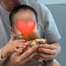 우쿠렐레이야기 | 19개월 아기랑 명절나기🙇‍♀️〰️ | 아기랑 글램핑, 바맘 배도라지즙, 키즈위드 이야기 시네마 내돈내산 후기