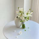 모두다잇소 이미지