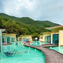 풀빌라펜션 드위트리 1 | 정선 드위트리 풀빌라 펜션 솔직 방문 후기