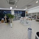 BOB애완용품금호점 | 인천 검단신도시 파충류샵 게코몽, 도마뱀 용품 판매 하는 곳