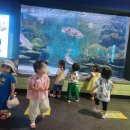 달1반 &#39;국립수산과학관&#39; 견학 이미지
