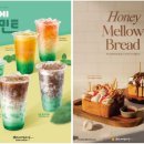 멜로우오렌지 이미지